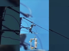 een hoge kwaliteit fuse cut out 40,5 kv polymer of keramische drop out fuse cut out